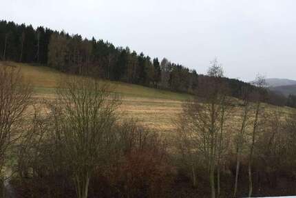 Wohnung zum Mieten in Lößnitz 300 € 55 m² 3 zimmer