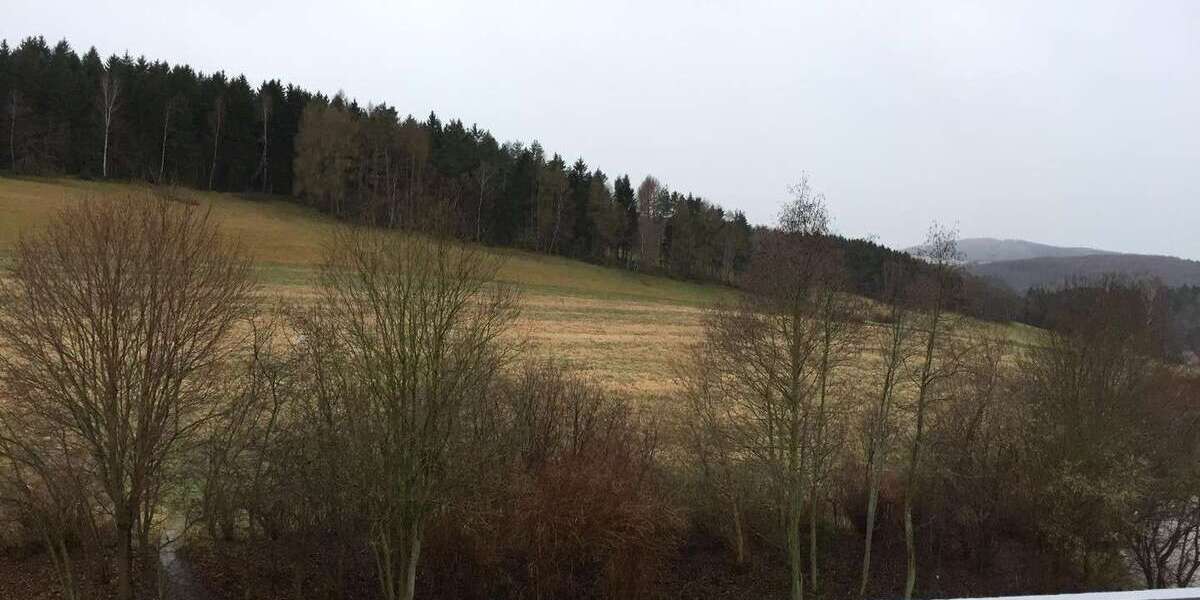 Wohnung zum Mieten in Lößnitz 300 € 55 m² 3 zimmer