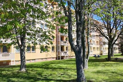Wohnung Chemnitz Adelsberg - 3 Zimmer, 59 m&sup2;, 375&euro; | Angebot:26682169