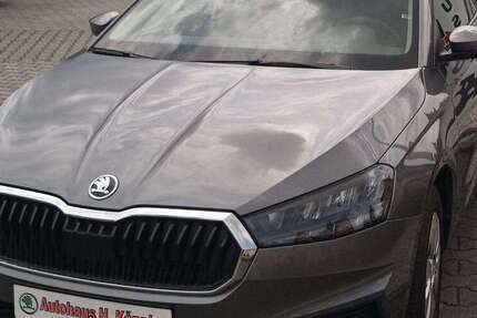 Skoda Fabia 5.000 km 19.290 &euro; Eppendorf 09575
