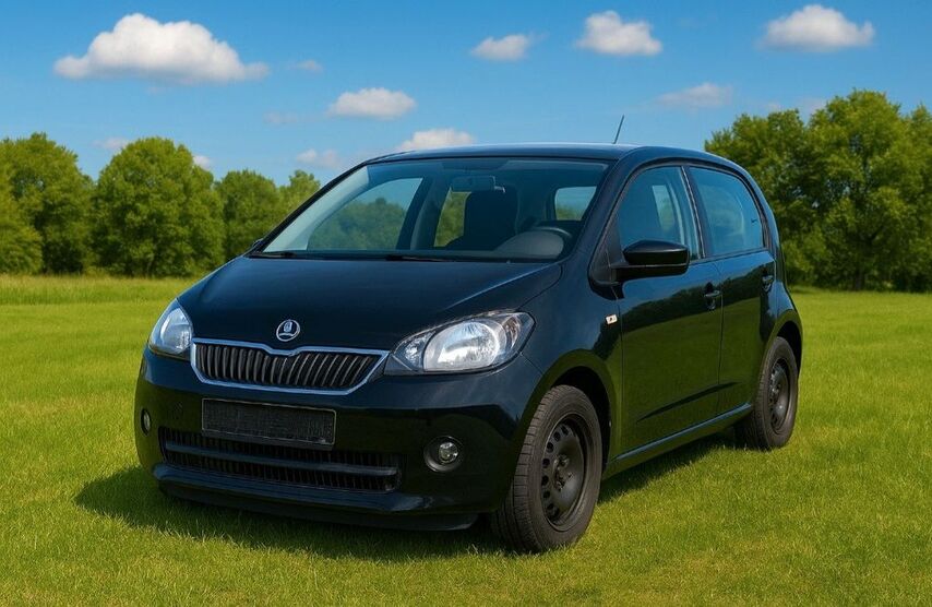 Skoda Citigo 73.300 km 8.800 € Zwickau 08112