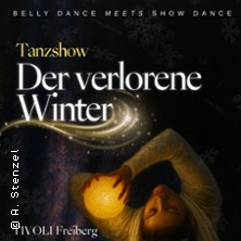 Der verlorene Winter 29.11.2025 Tivoli Freiberg - Sachsen