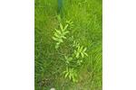 Grundstück Pockau-Lengefeld Lengefeld - 150&euro; | Angebot:26663802