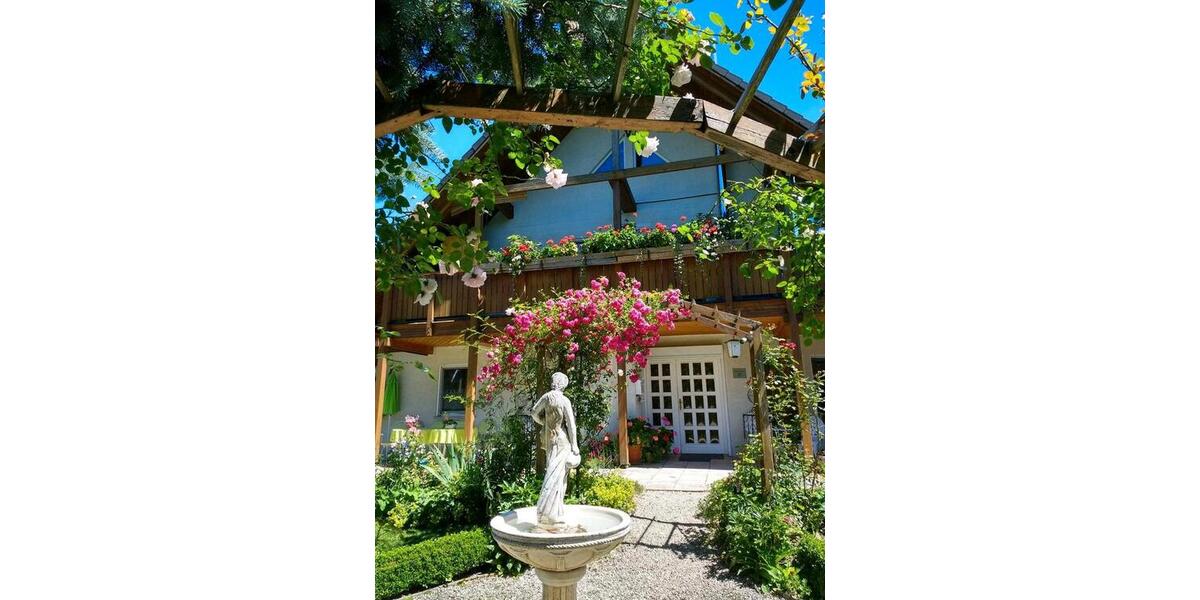 Erdgeschoßwohnung Thermalbad Wiesenbad - 2 Zimmer, 31 m&sup2;, 389&euro; | Angebot:25219422