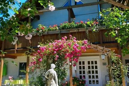 Wohnung Thermalbad Wiesenbad - 2 Zimmer, 31 m&sup2;, 389&euro; | Angebot:25219422