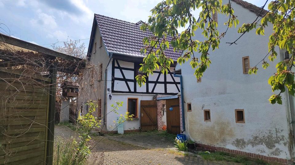 Mehrfamilienhaus, Wohnhaus Langenleuba-Niederhain Niederhain - 7 Zimmer, 160 m&sup2;, 115.000&euro; | Angebot:27071069