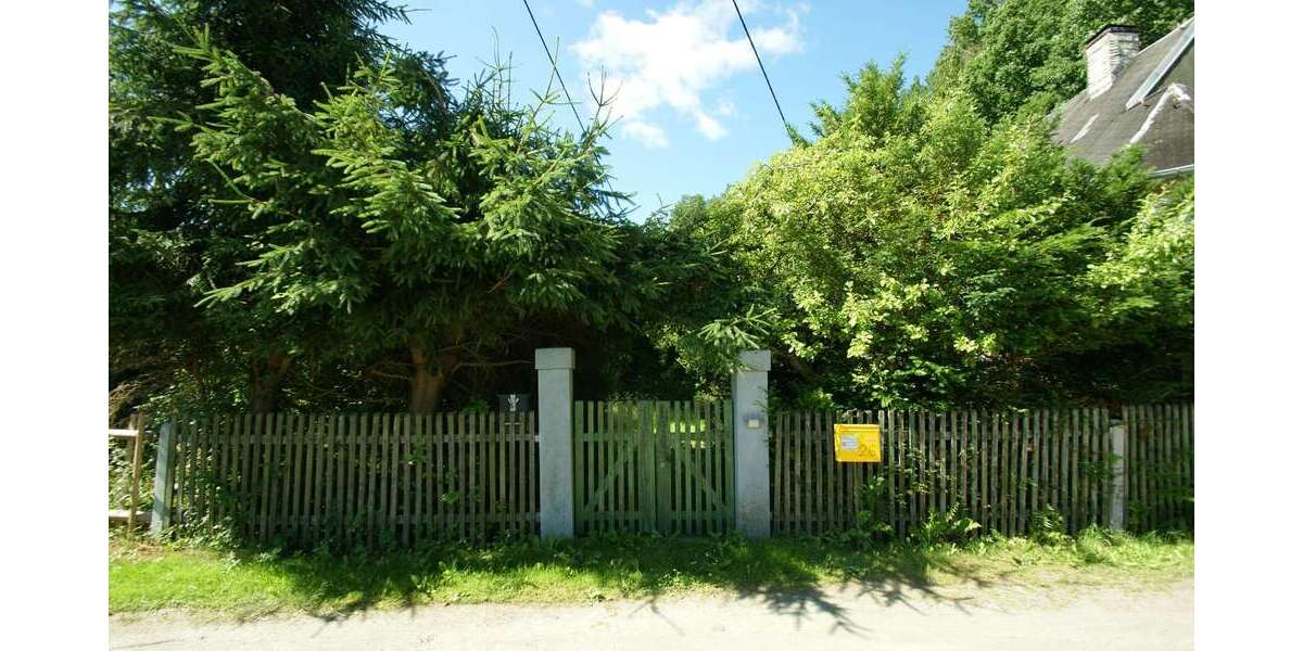 Großes Baugrundstück mit Altbestand am Waldrand in idyllischer Lage zimmer