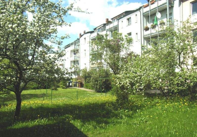 Wohnung zum Mieten in Chemnitz 155 € 30 m²