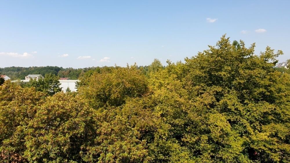 Exklusive 4-Zimmer-Wohnung - mit Einbauküche- hochwertig ausgestattet! - Maisonettenwohnung Chemnitz Kapellenberg | Angebot:26931497