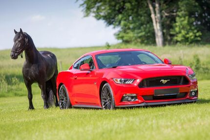 Ford Mustang 75.157 km 28.899 € Brand-Erbisdorf 09618