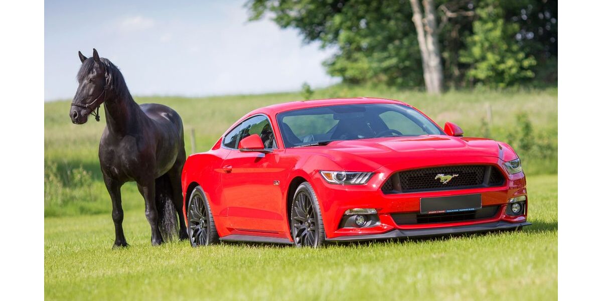 Ford Mustang 75.157 km 28.899 &euro; Brand-Erbisdorf 09618