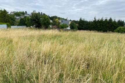 Grundstück Grünhainichen - 99.000&euro; | Angebot:20972995