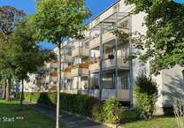 Wohnung zum Mieten in Chemnitz 230 € 38 m²