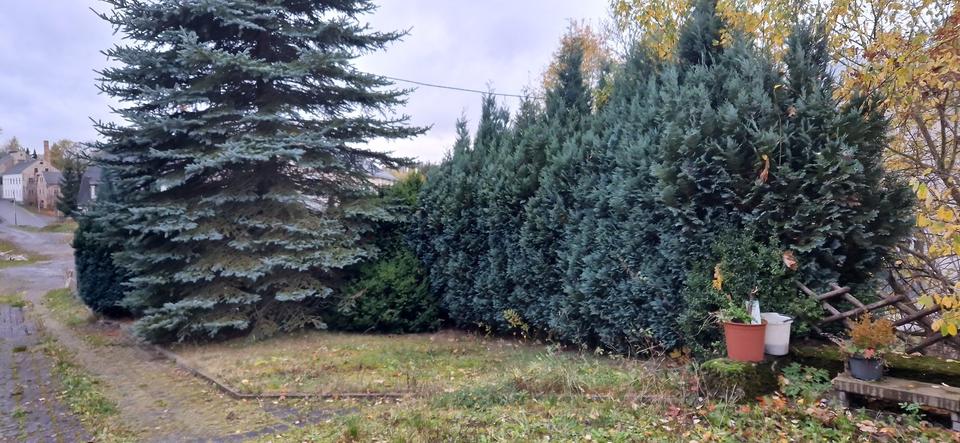 Einfamilienhaus Marienberg - 4 Zimmer, 80 m&sup2;, 800&euro; | Angebot:26129921