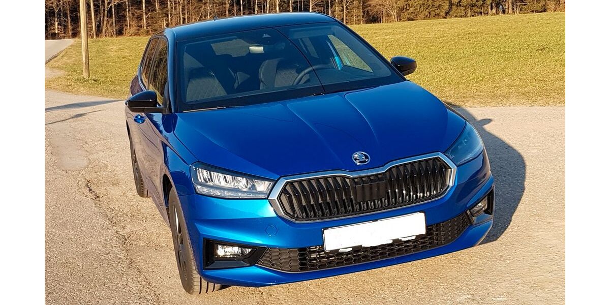 Skoda Fabia 51.000 km 15.299 &euro; Thum 09419