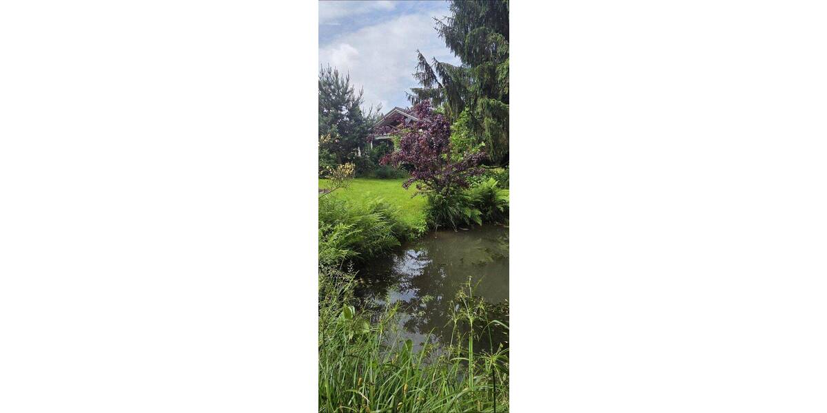 Einfamilienhaus Chemnitz Rottluff - 4 Zimmer, 100 m&sup2;, 650.000&euro; | Angebot:26912049
