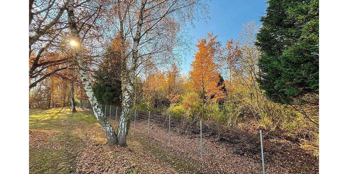 Grundstück Chemnitz Schönau - 79.000&euro; | Angebot:24711018