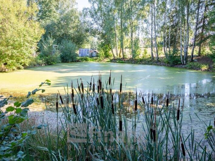 Bauernhaus, Landhaus Mittelbach Mittelbach - 1 Zimmer, 420 m&sup2;, 649.000&euro; | Angebot:25705558