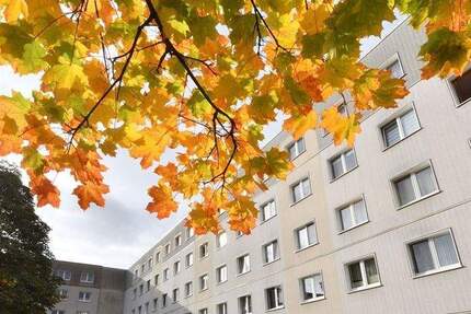 Wohnung Lugau - 3 Zimmer, 57 m&sup2;, 348&euro; | Angebot:25845951