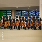 Die 12 Cellisten der Berliner Philharmoniker - Neujahrskonzert