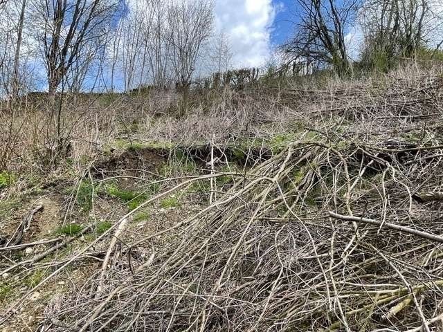 Bau doch in Lichtenau zimmer