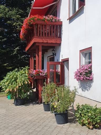 Mehrfamilienhaus, Wohnhaus Oederan - 249.000&euro; | Angebot:26763684