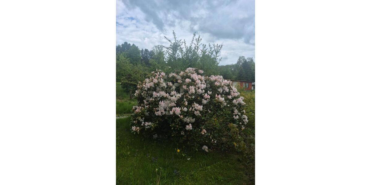 Grundstück Pockau-Lengefeld Lengefeld - 150&euro; | Angebot:26663802