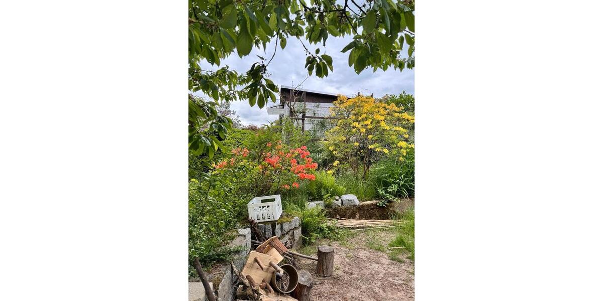 Grundstück Chemnitz Borna-Heinersdorf - 1.000&euro; | Angebot:25176643