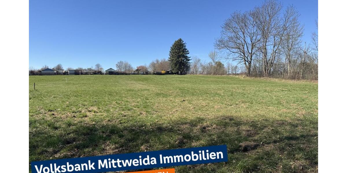 Baugrundstück mit 6.150 m², für 1-6 EFH, in sehr guter Wohnlage! - Grundstück Hainichen | Angebot:26313368