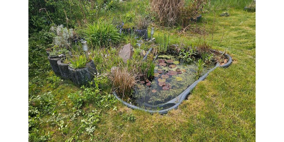 Grundstück Chemnitz Kapellenberg - 800&euro; | Angebot:26606284