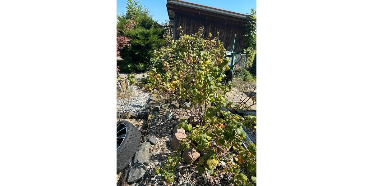 Grundstück Chemnitz Rabenstein - 2.800&euro; | Angebot:22071559