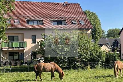 Haus Röhrsdorf Röhrsdorf - 36 Zimmer, 942 m&sup2;, 1.600.000&euro; | Angebot:25131928