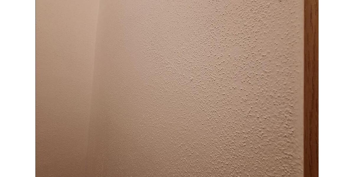 Frisch sanierte gemütliche 3-Raum Wohnung Haus Immobilie 3 zimmer