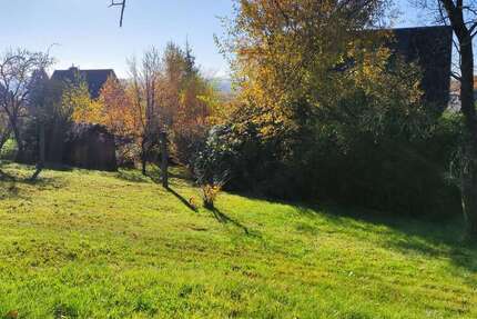 Grundstück zu verkaufen in Chemnitz 129.000 € 950 m² zimmer