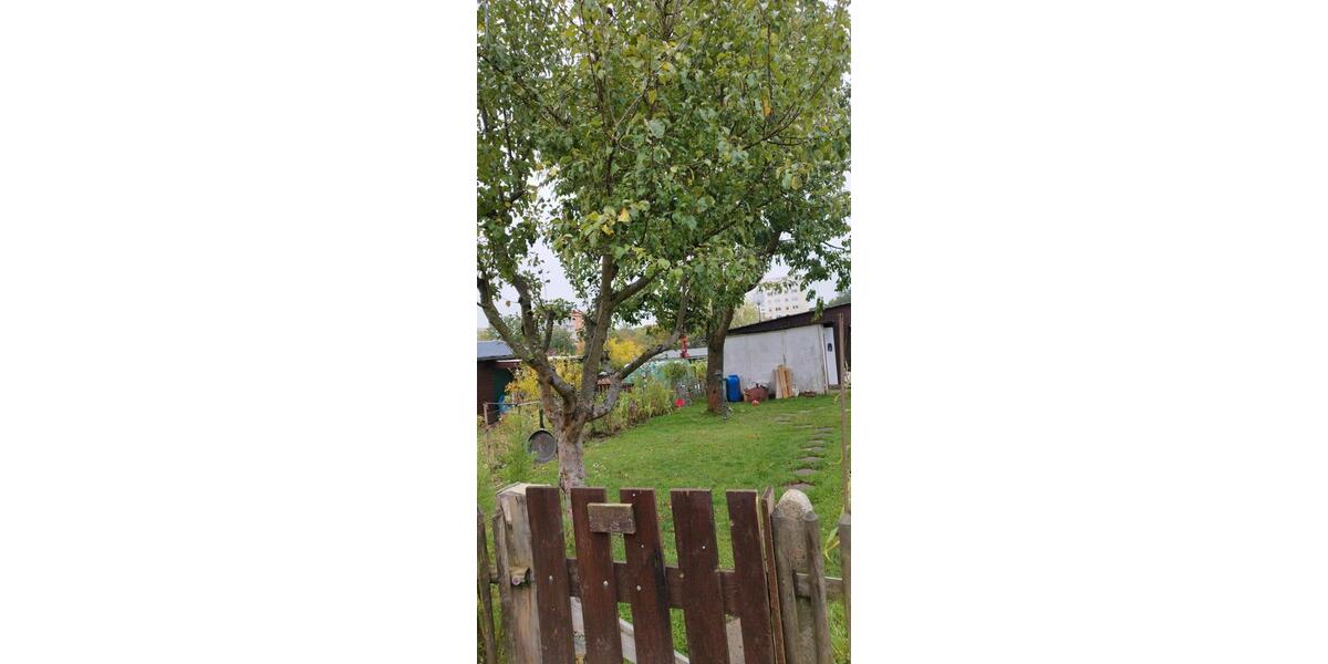 Grundstück Chemnitz - 800&euro; | Angebot:25214599