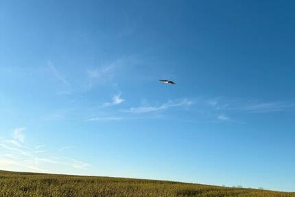 Grundstück Chemnitz Grüna - 100&euro; | Angebot:24475500