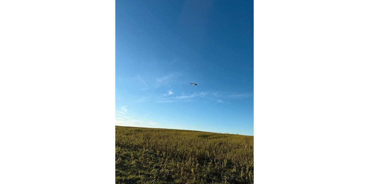 Grundstück Chemnitz Grüna - 100&euro; | Angebot:24475500