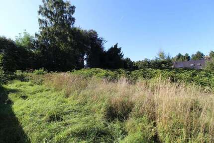 Grundstück zu verkaufen in Penig 49.500 € 1424 m² zimmer