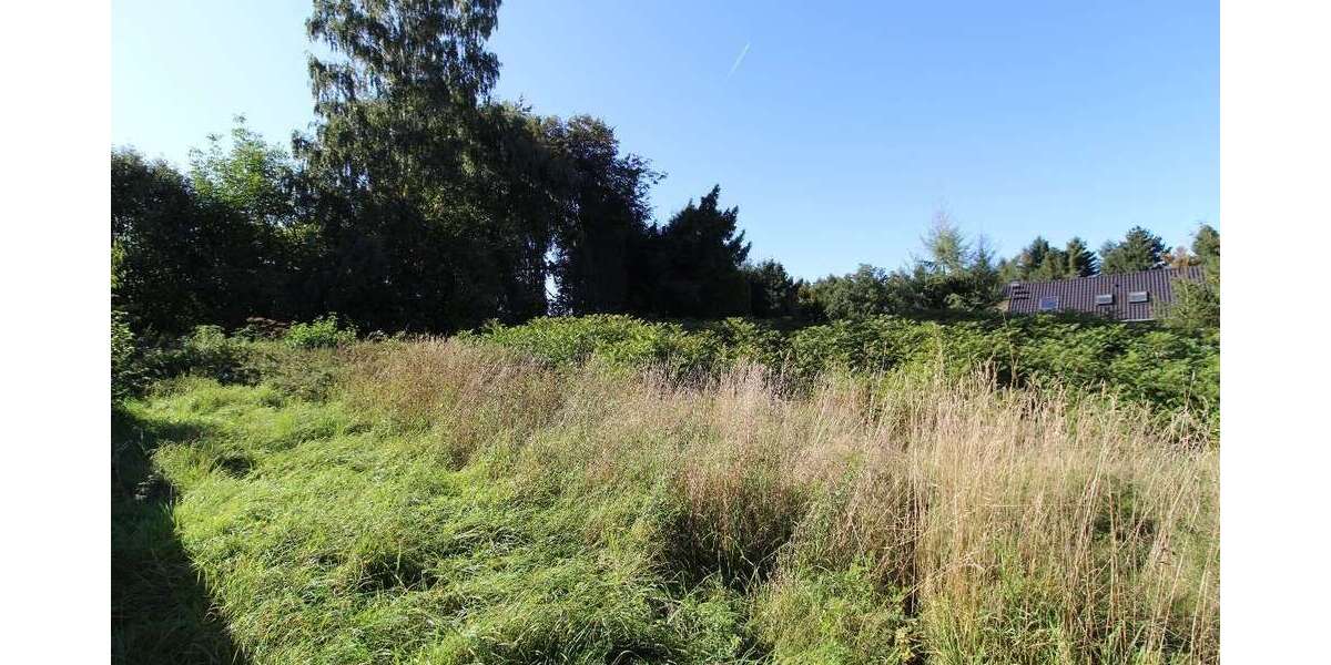 Grundstück zu verkaufen in Penig 49.500 € 1424 m² zimmer