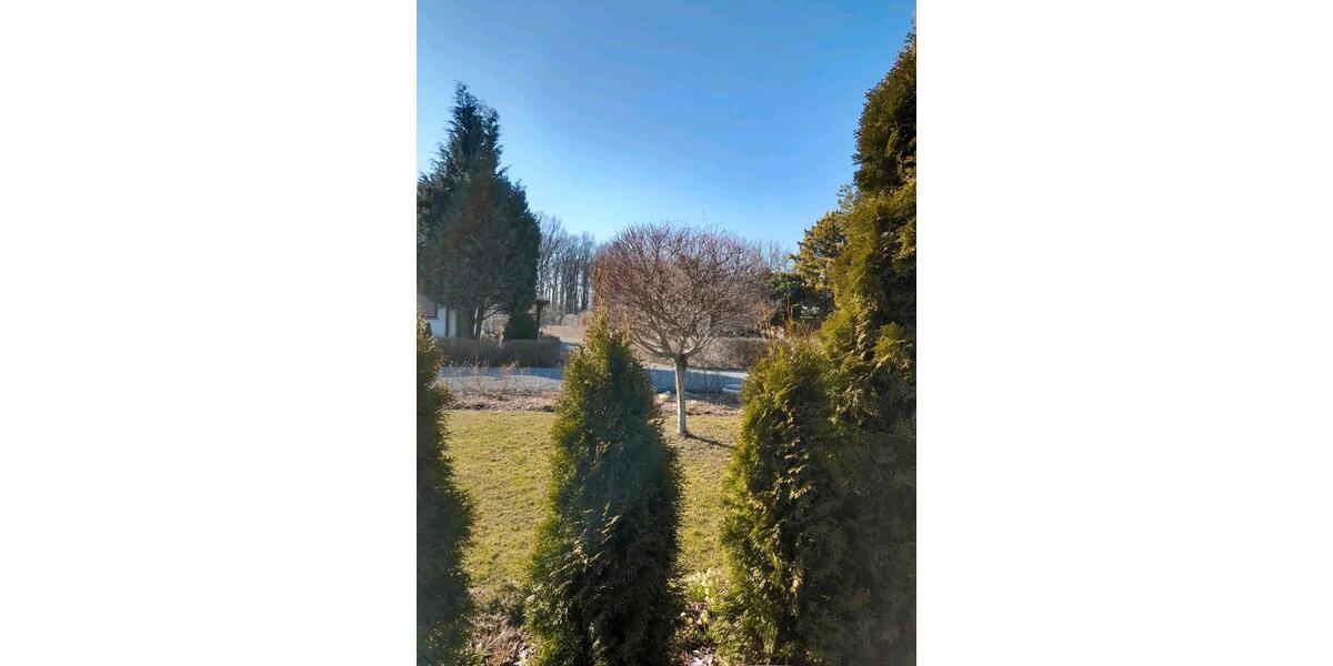 Grundstück Stollberg (Erzgebirge) - 1.500&euro; | Angebot:26461216