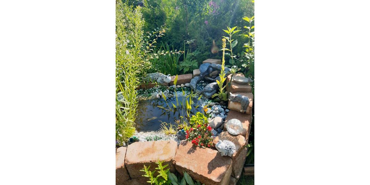 Grundstück Chemnitz Ebersdorf - 2.350&euro; | Angebot:25992106