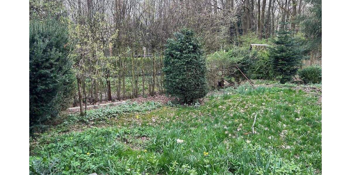 Grundstück Chemnitz Glösa-Draisdorf - 185.000&euro; | Angebot:25693769