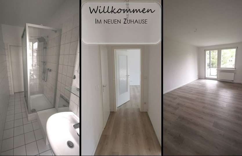 Wohnung zum Mieten in Chemnitz 370 € 61.27 m²