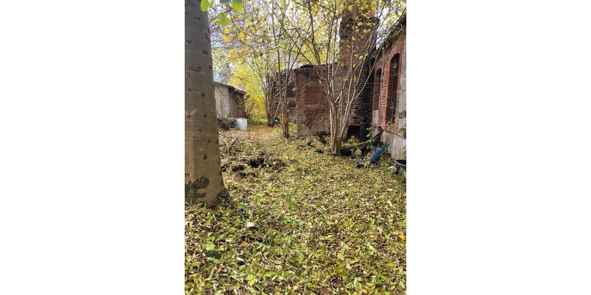 Einfamilienhaus Thermalbad Wiesenbad - 7 Zimmer, 70 m&sup2;, 15.000&euro; | Angebot:26786741