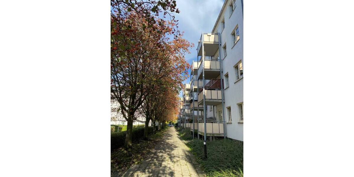 Etagenwohnung Chemnitz Lutherviertel - 2 Zimmer, 48 m&sup2;, 299&euro; | Angebot:26798829