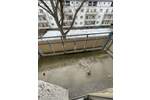 Etagenwohnung Chemnitz Lutherviertel - 3 Zimmer, 62 m&sup2;, 373&euro; | Angebot:25696299
