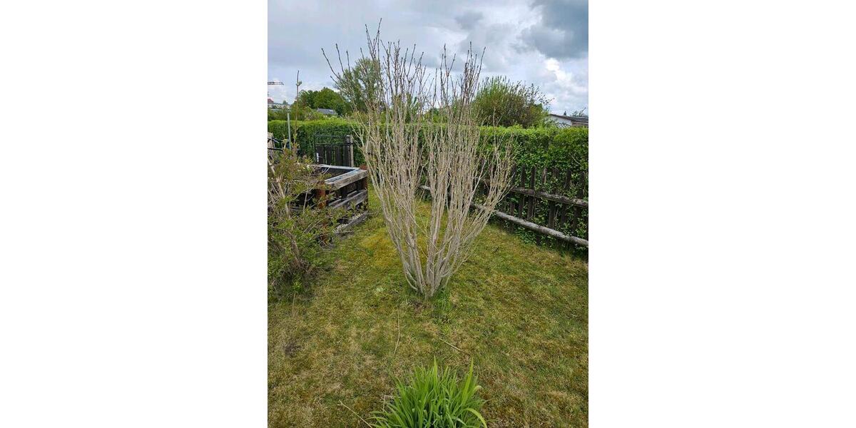 Grundstück Chemnitz Kapellenberg - 800&euro; | Angebot:26606284