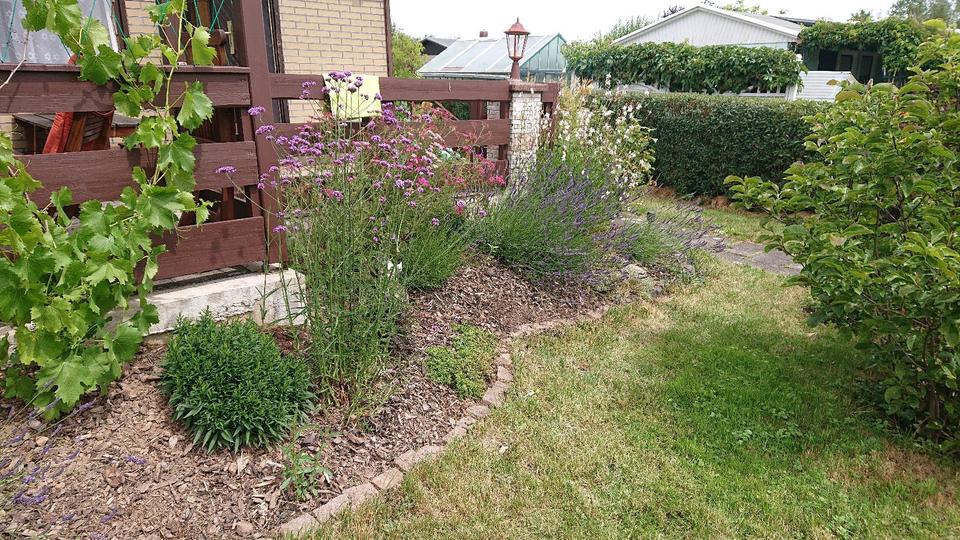 Grundstück Chemnitz Ebersdorf - 500&euro; | Angebot:22645483