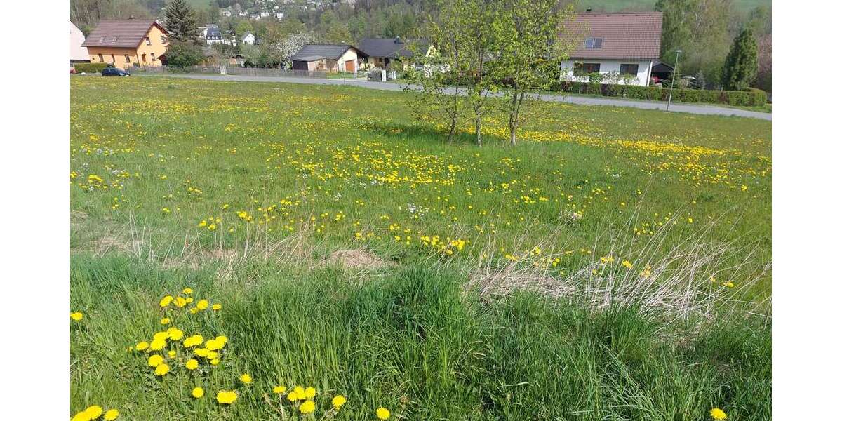Bauen in Kemtau mit Ausblick zimmer