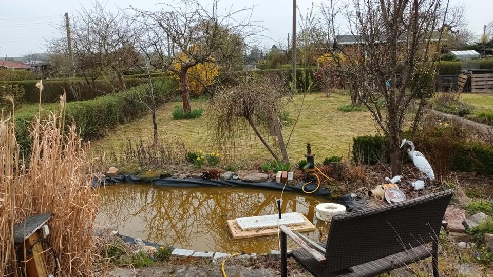 Grundstück Chemnitz Adelsberg - 900&euro; | Angebot:26567027